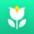Plant Parent: Plant Care Guide