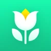 Plant Parent: Plant Care Guide