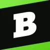 Brainly: AI Homework Helper