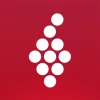 Vivino: Drink the Right Wine