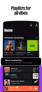 Deezer: Music & Podcast Player