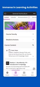 Blackboard