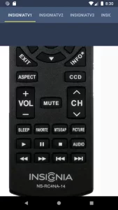 Insignia TV Remote