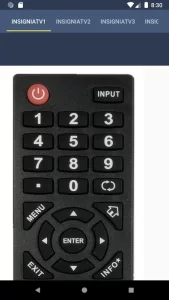 Insignia TV Remote
