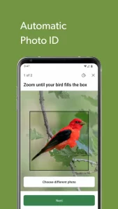 Merlin Bird ID by Cornell Lab