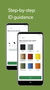 Merlin Bird ID by Cornell Lab