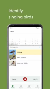 Merlin Bird ID by Cornell Lab