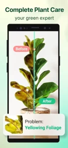 Plant Parent: Plant Care Guide