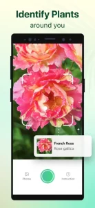 Plant Parent: Plant Care Guide