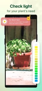 Plant Parent: Plant Care Guide