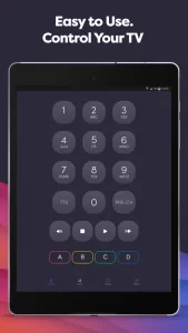 Universal TV Remote Control
