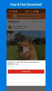 Video Downloader Pro & Browser