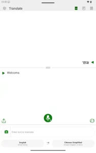 Microsoft Translator