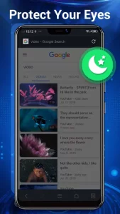 Web Browser & Explorer