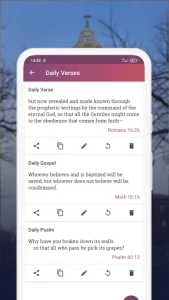 NIV Bible version, Offline app