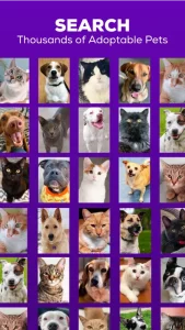 Petfinder - Adopt a Pet