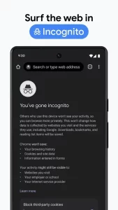 Google Chrome