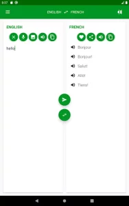 French - English Translator