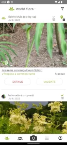 PlantNet Plant Identification