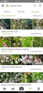 PlantNet Plant Identification