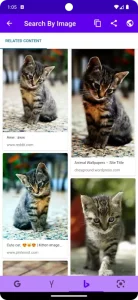 Search By Image