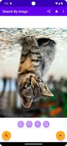 Search By Image