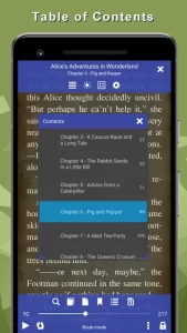 EPUB Reader for all books