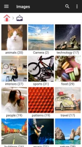 File Manager