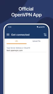 OpenVPN Connect