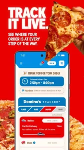 Domino's Pizza USA