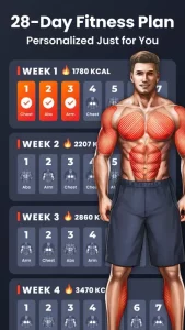 Home Workout - No Equipment