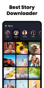 All Video Downloader & Player