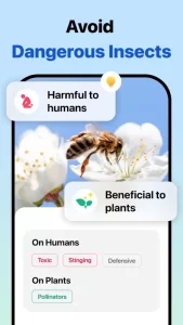 Picture Insect: Bug Identifier