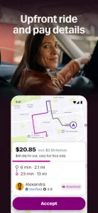 Lyft Driver