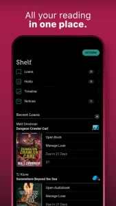Libby: Read Library Books