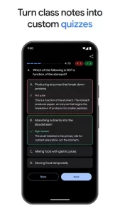 Google Gemini