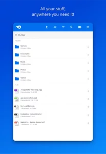 MediaFire