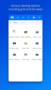 MediaFire