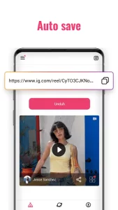 Video downloader - Story Saver