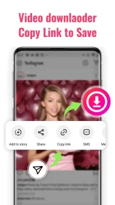 Video downloader - Story Saver