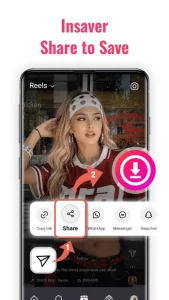 Video downloader - Story Saver