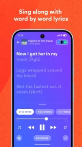 Musixmatch Dynamic Lyrics