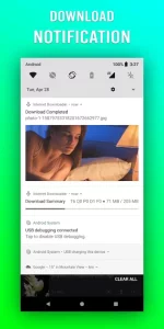 File Downloader