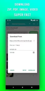 File Downloader