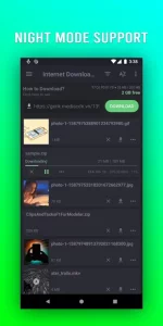 File Downloader