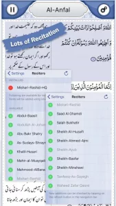 Quran Explorer