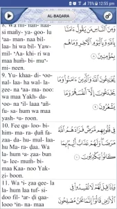 Quran Explorer