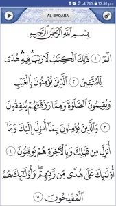 Quran Explorer