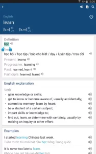 Vietnamese English Dictionary