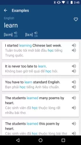 Vietnamese English Dictionary